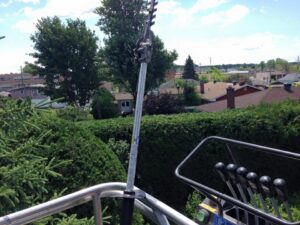 coupe de haies 1